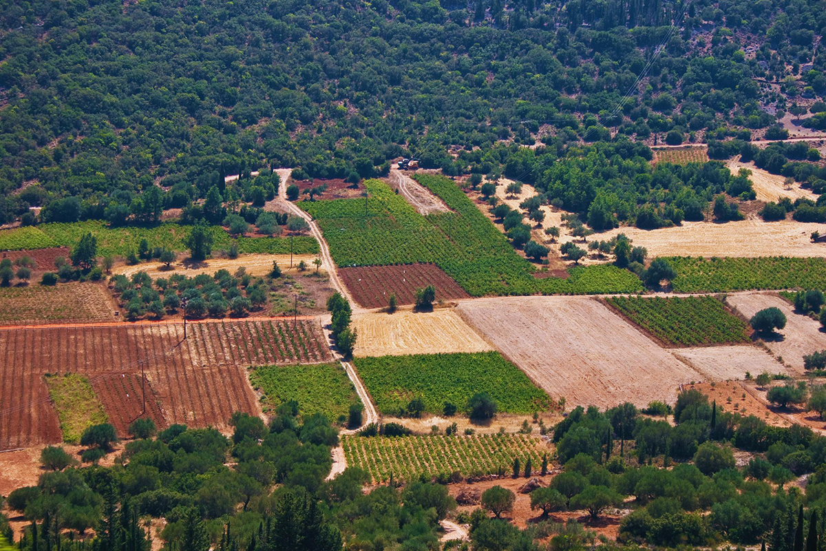 Kongara Kalan Land